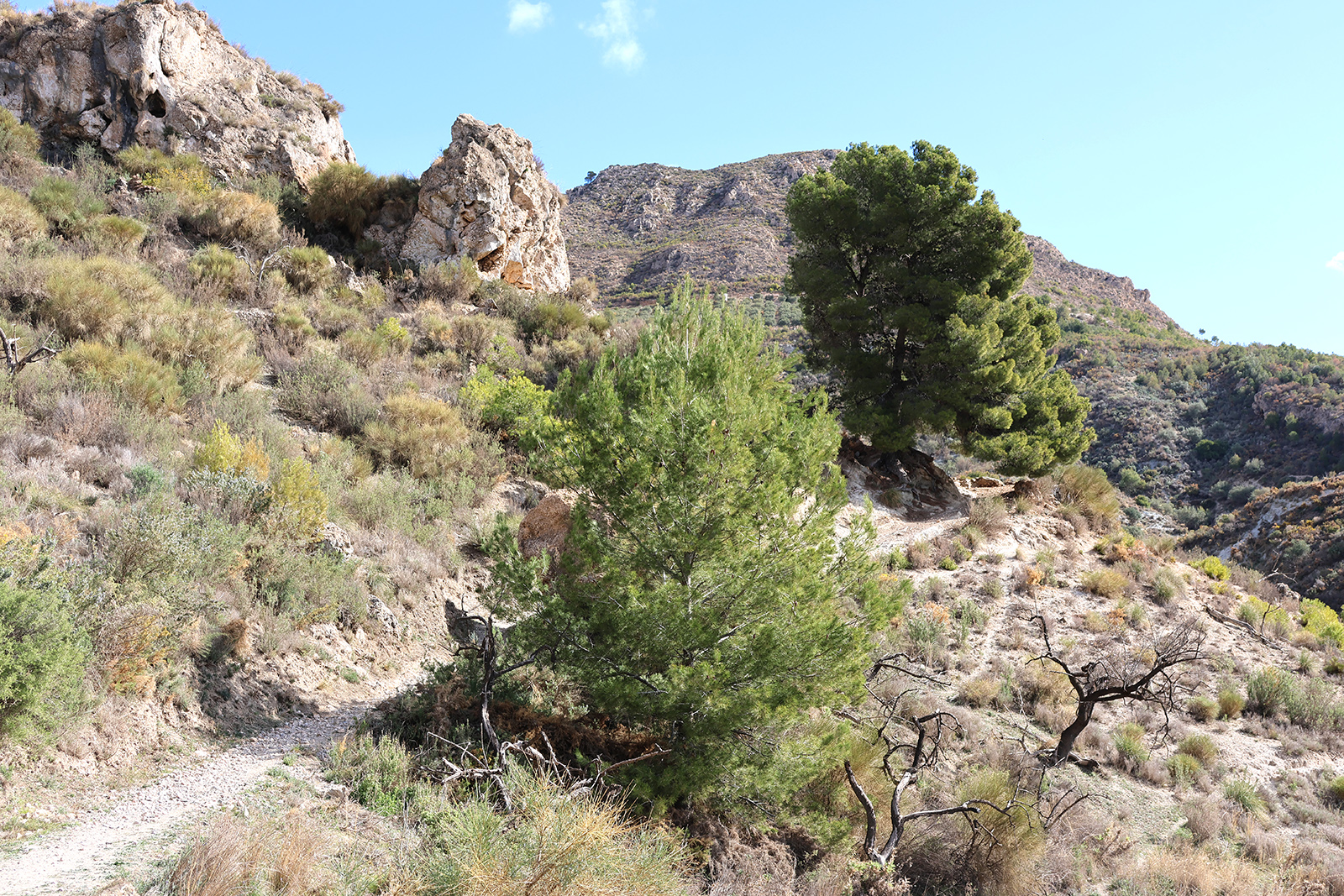 Sendero del entorno natural de Molvízar